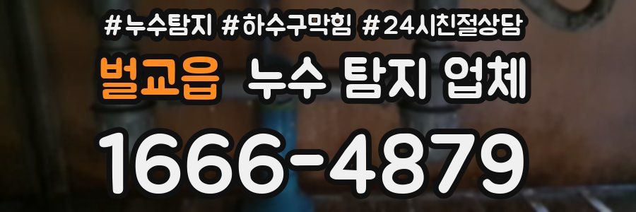 벌교읍 누수 탐지 업체