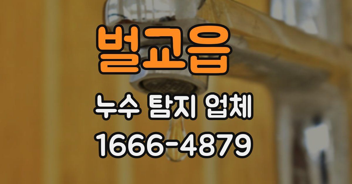 벌교읍 누수 탐지 업체