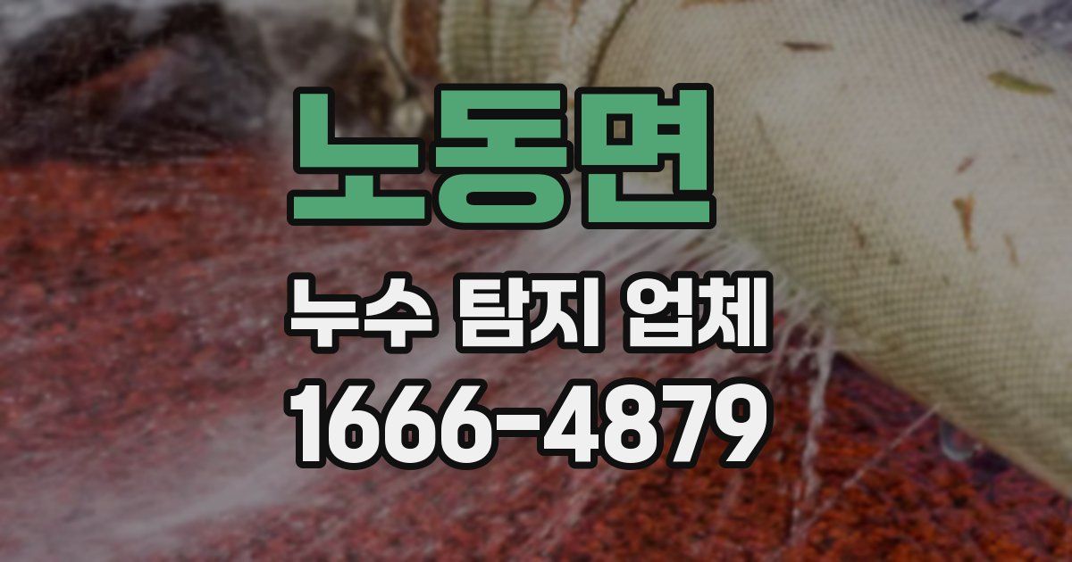 노동면 누수 탐지 업체
