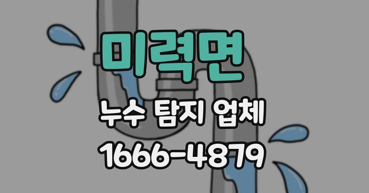 미력면 누수 탐지 업체