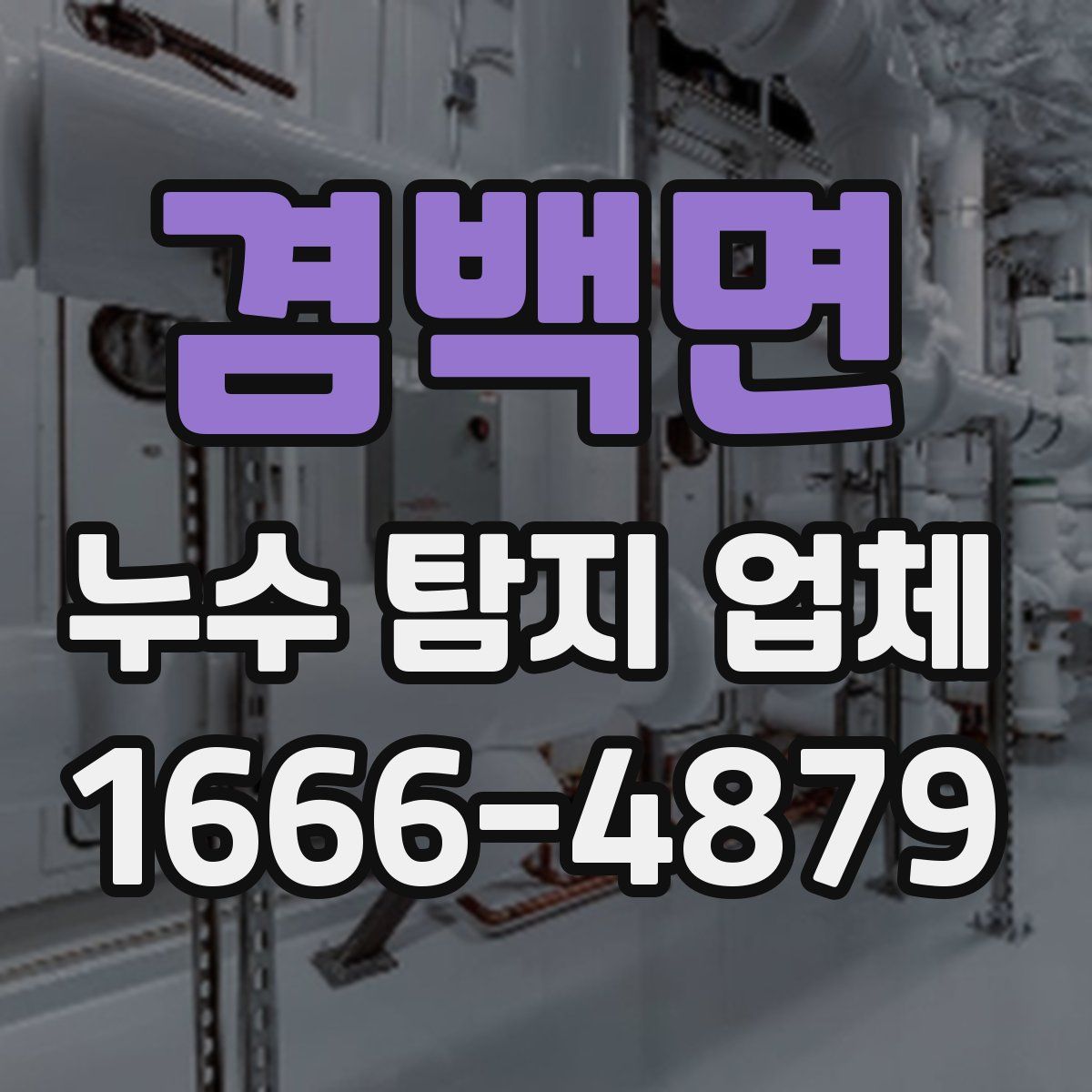 겸백면 누수 탐지 업체
