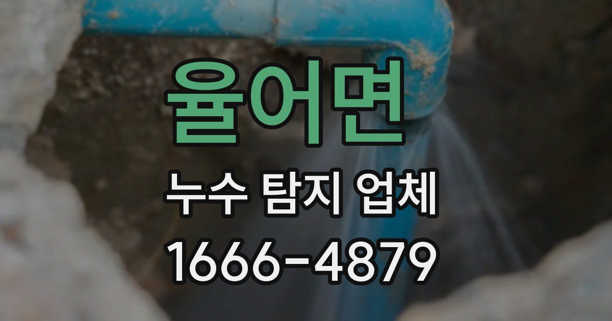 율어면 누수 탐지 업체