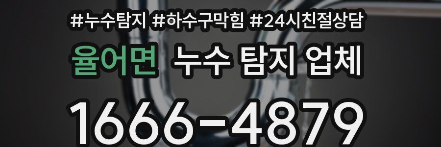 율어면 누수 탐지 업체