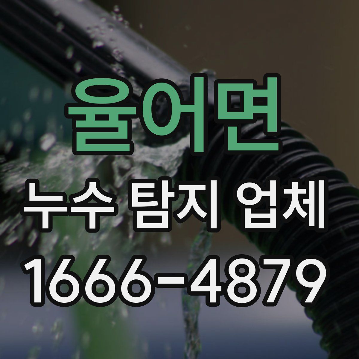 율어면 누수 탐지 업체
