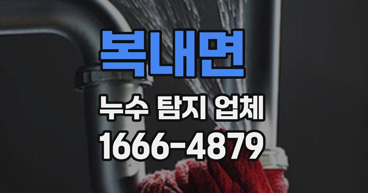 복내면 누수 탐지 업체