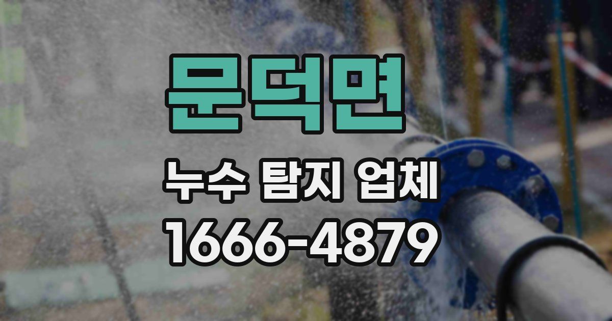 문덕면 누수 탐지 업체