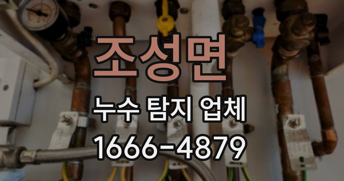 조성면 누수 탐지 업체