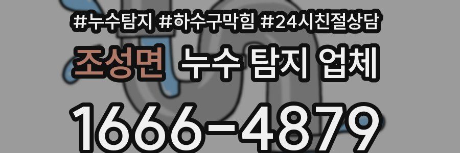 조성면 누수 탐지 업체