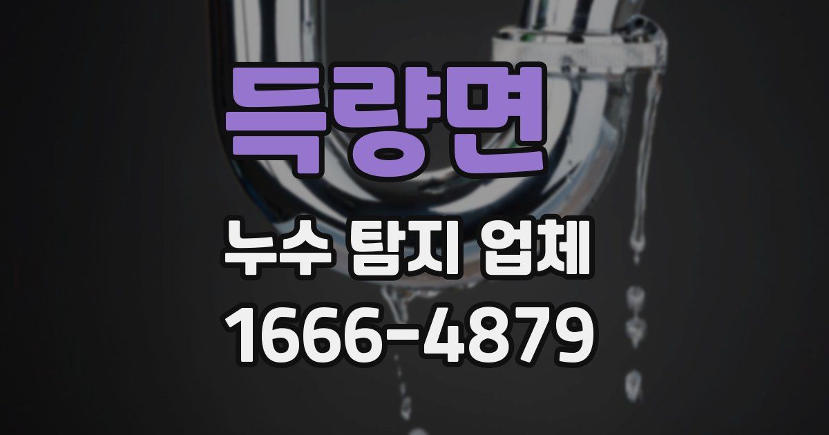 득량면 누수 탐지 업체