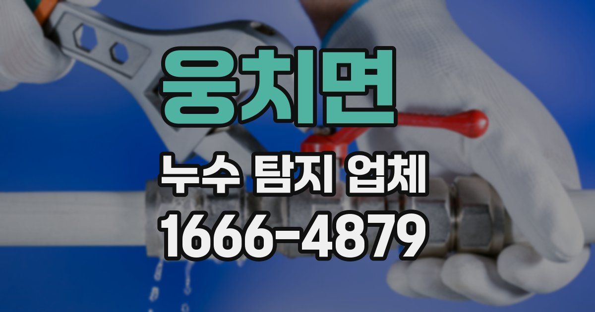웅치면 누수 탐지 업체
