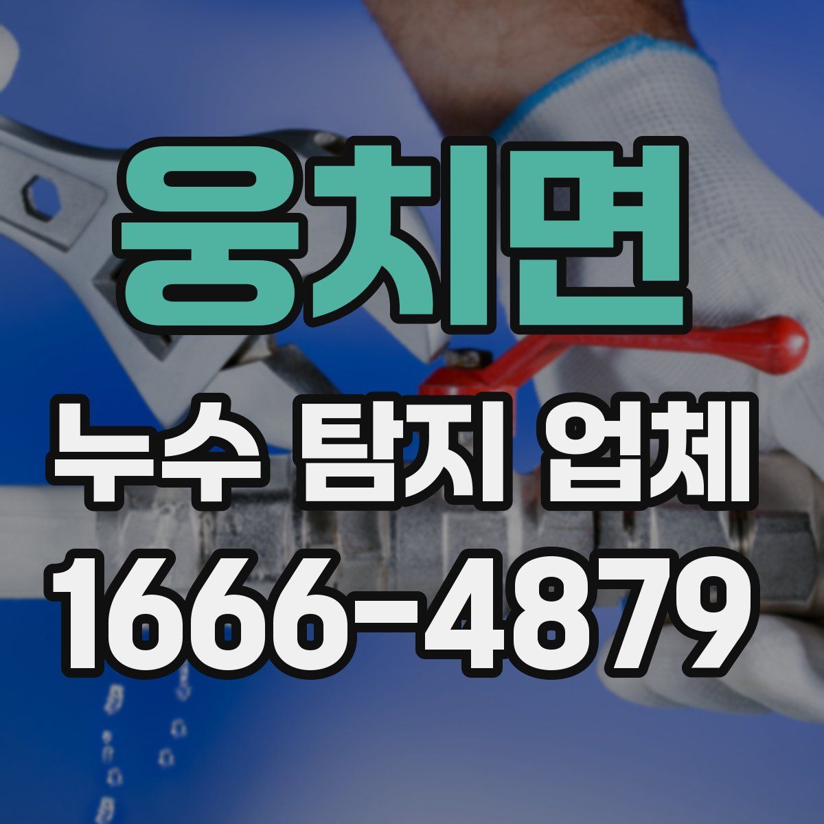 웅치면 누수 탐지 업체