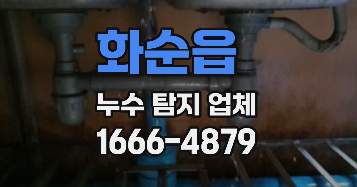 화순읍 누수 탐지 업체