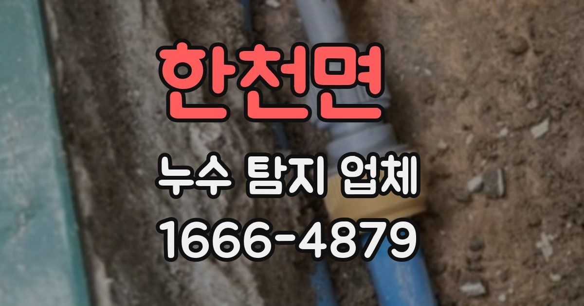 한천면 누수 탐지 업체
