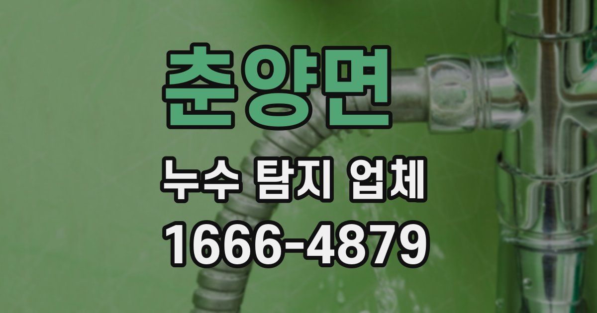춘양면 누수 탐지 업체