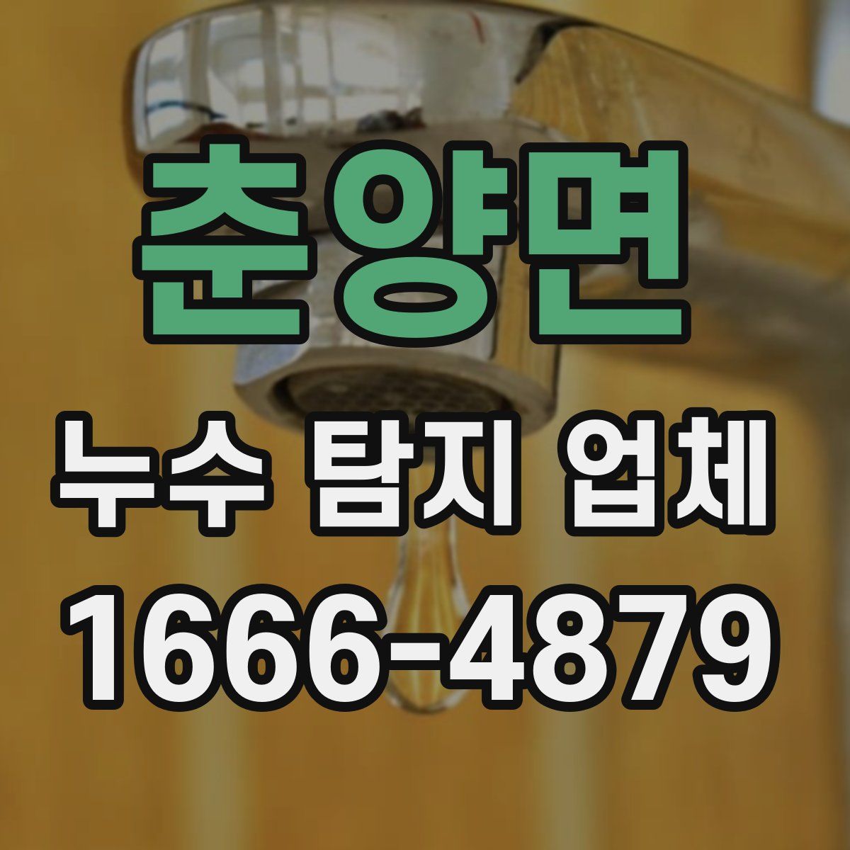 춘양면 누수 탐지 업체