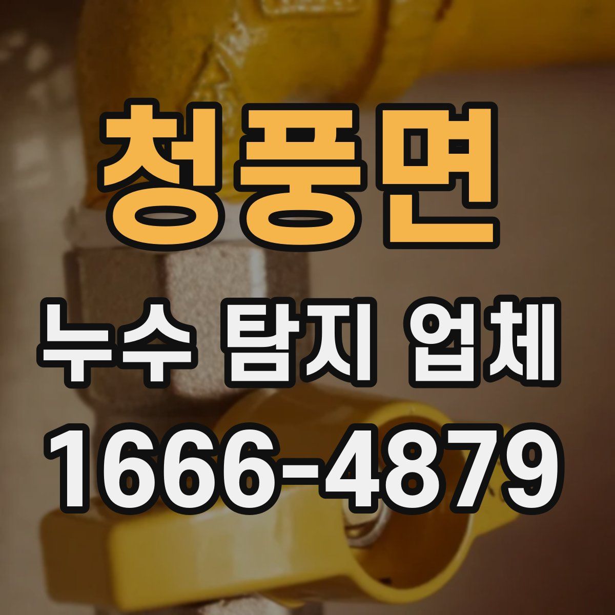 청풍면 누수 탐지 업체