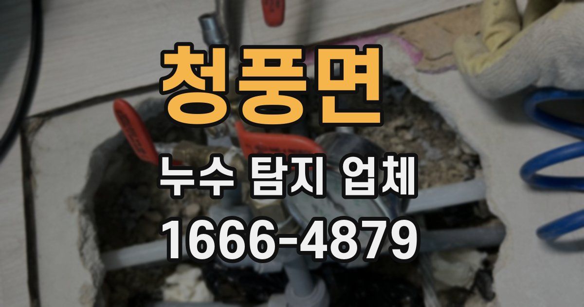 청풍면 누수 탐지 업체