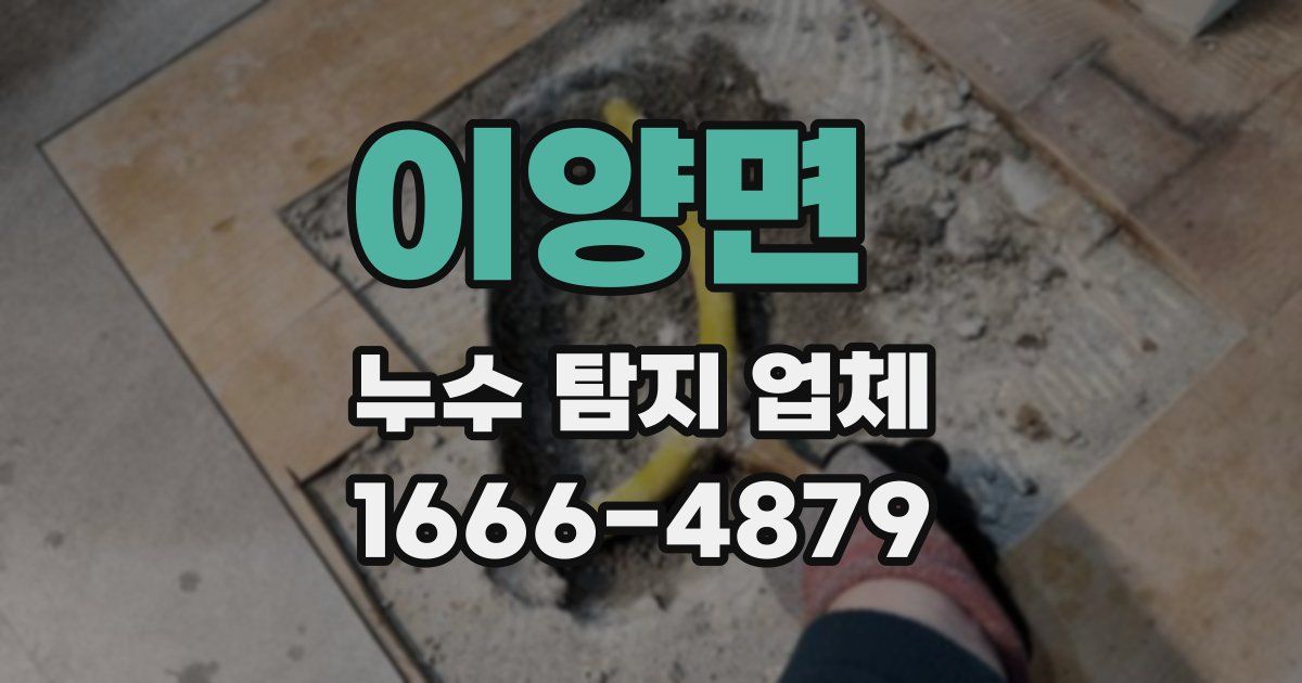 이양면 누수 탐지 업체