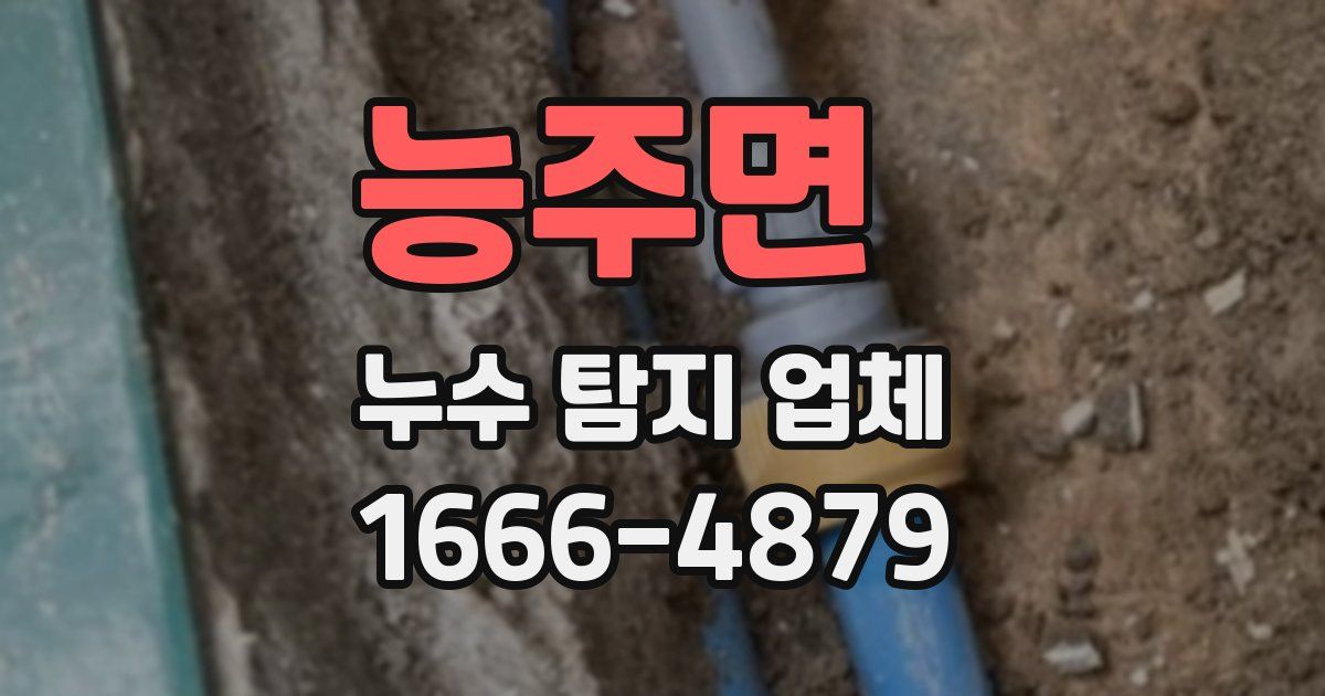 능주면 누수 탐지 업체