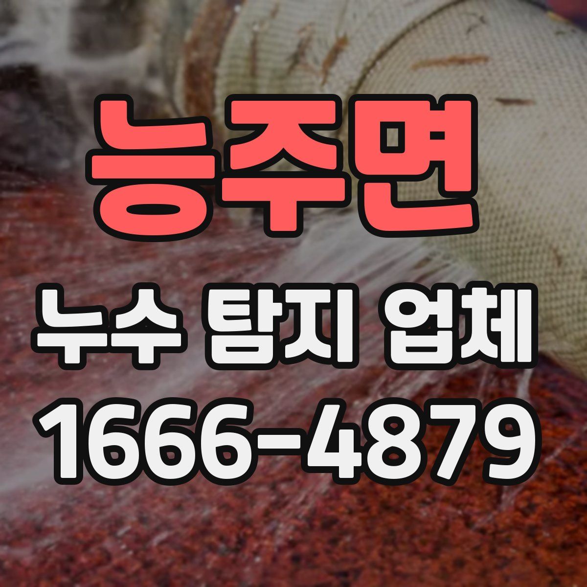 능주면 누수 탐지 업체