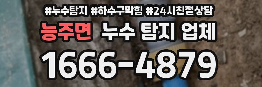 능주면 누수 탐지 업체
