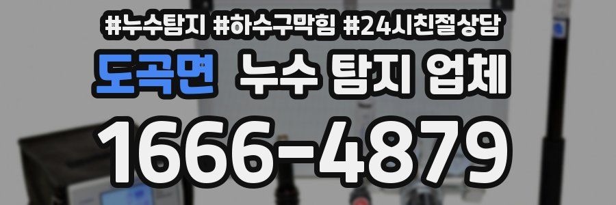 도곡면 누수 탐지 업체