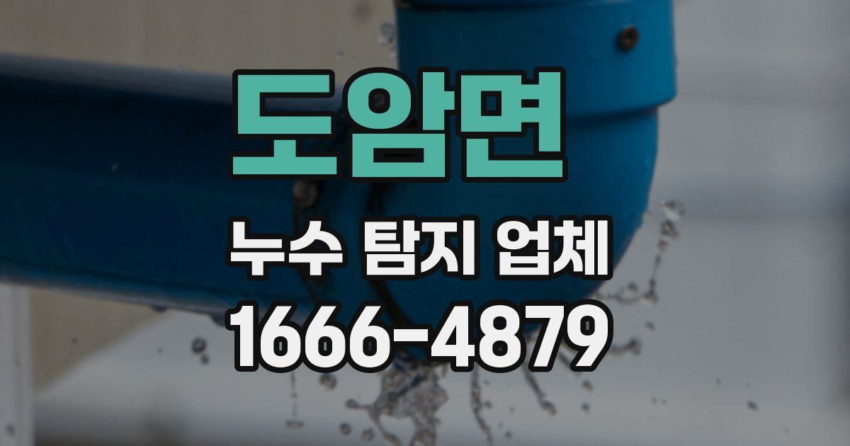 도암면 누수 탐지 업체