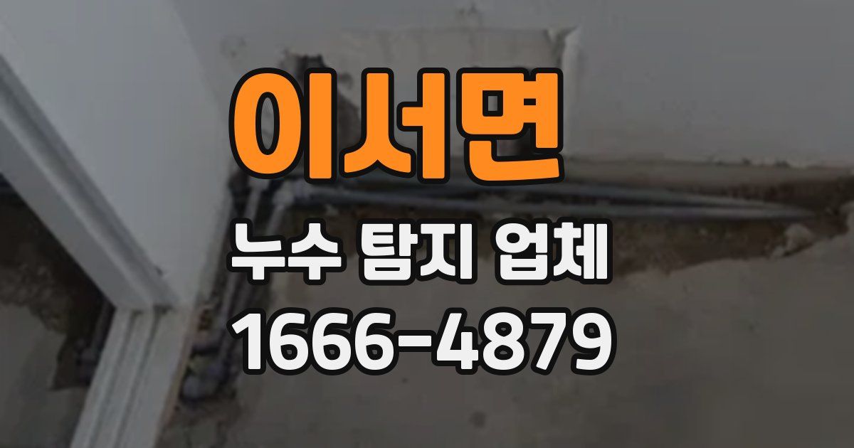 이서면 누수 탐지 업체