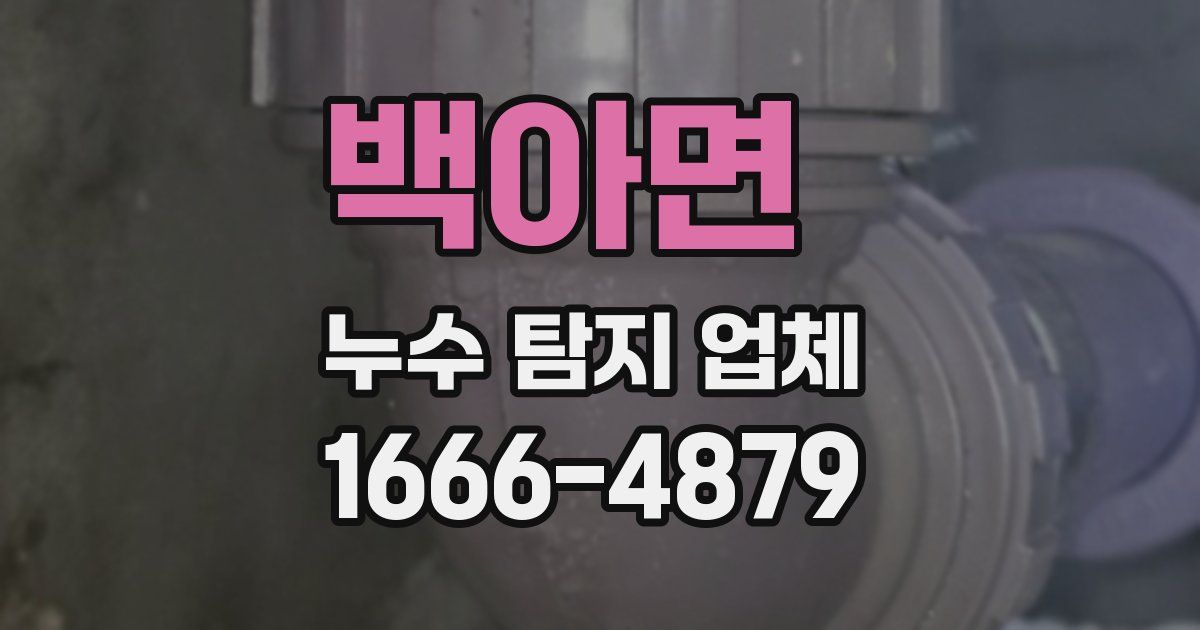 백아면 누수 탐지 업체