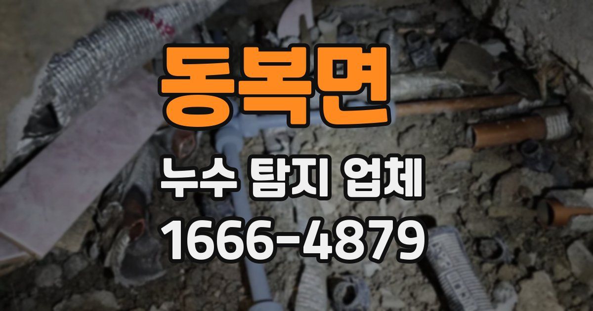 동복면 누수 탐지 업체