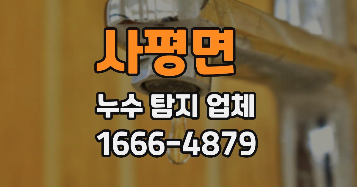 사평면 누수 탐지 업체