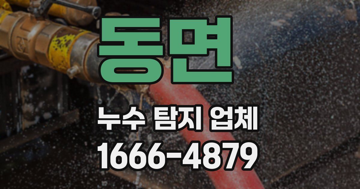 동면 누수 탐지 업체