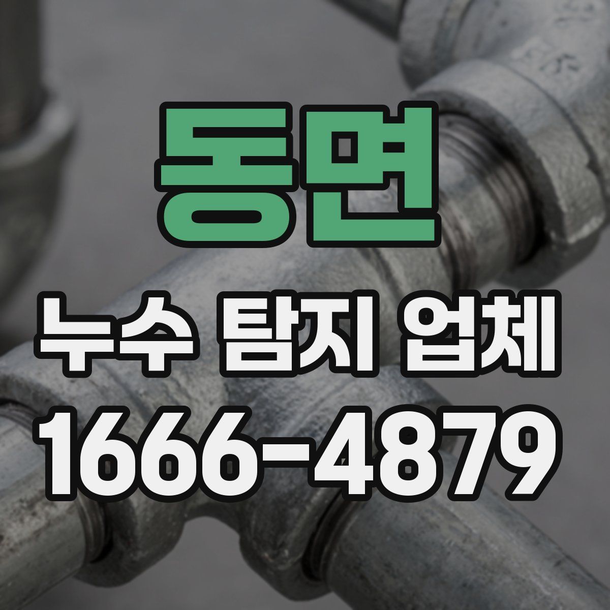 동면 누수 탐지 업체