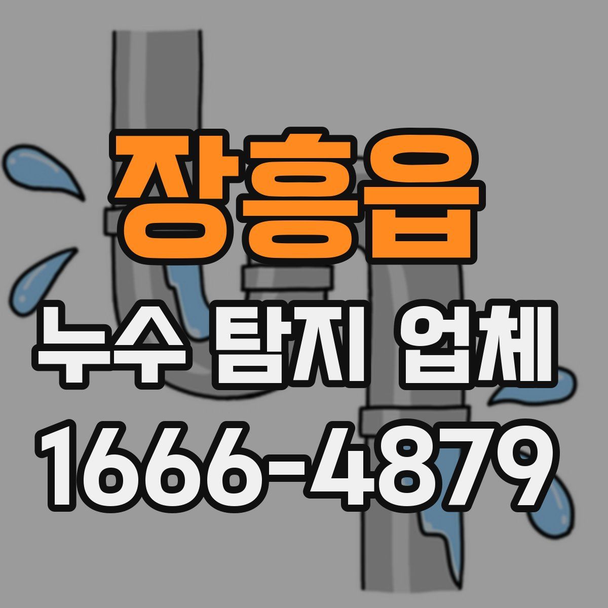 장흥읍 누수 탐지 업체