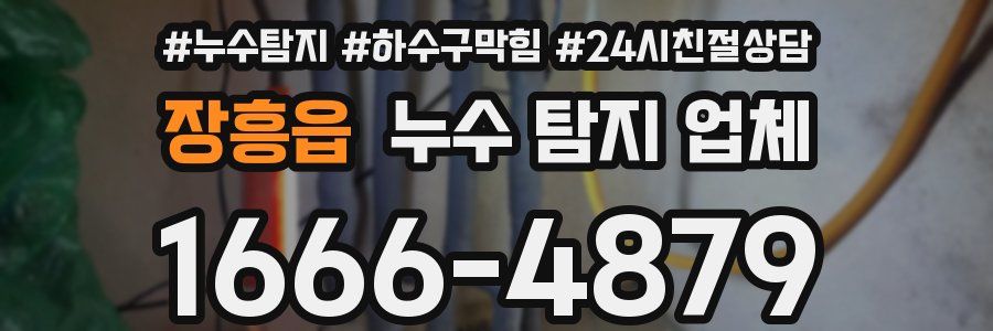 장흥읍 누수 탐지 업체