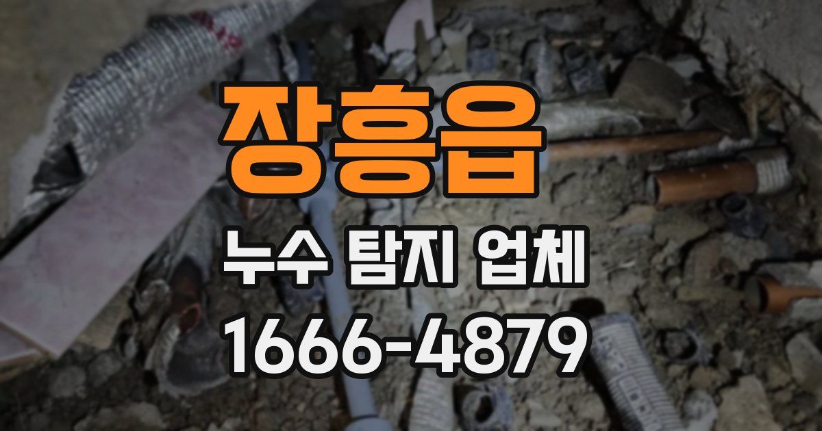 장흥읍 누수 탐지 업체