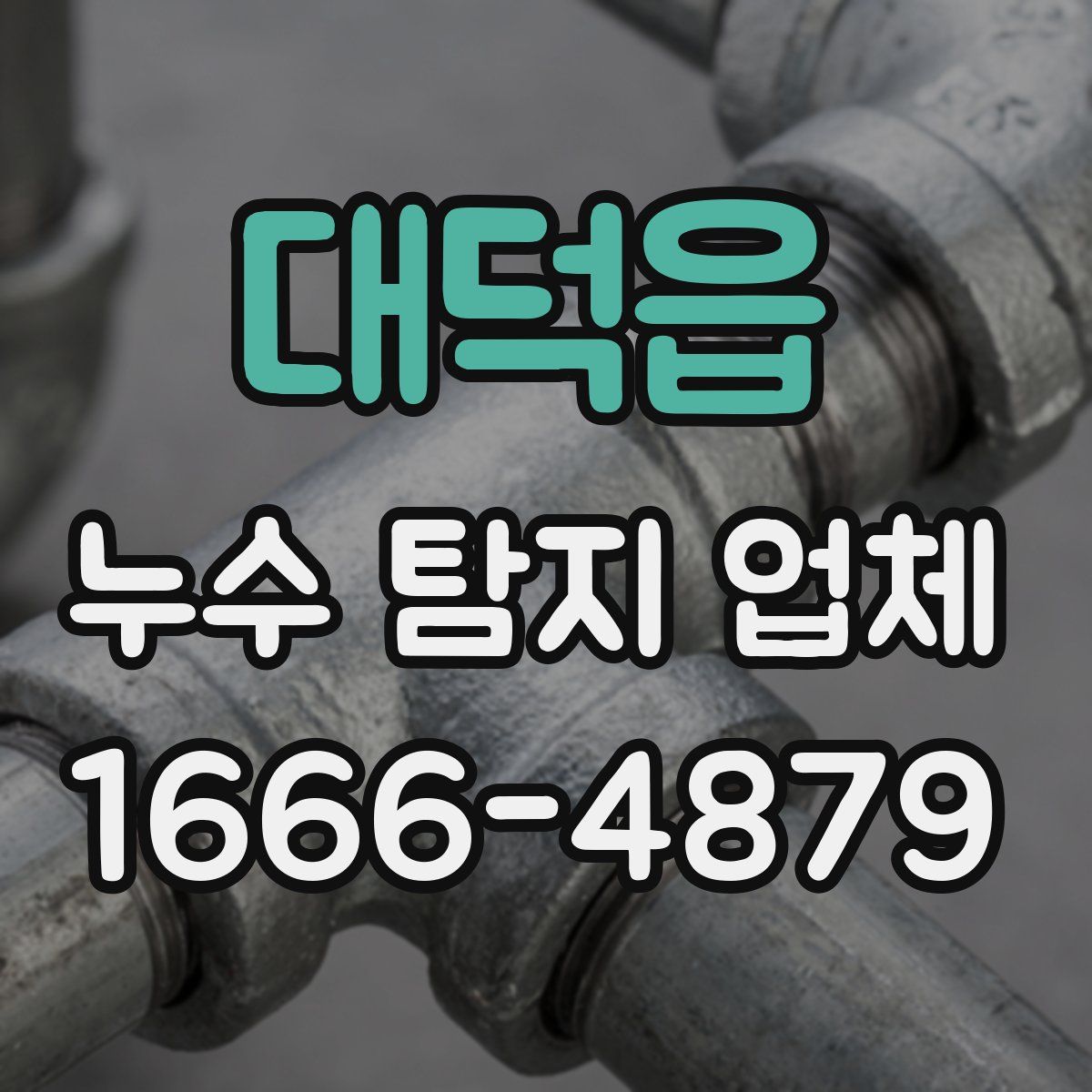 대덕읍 누수 탐지 업체