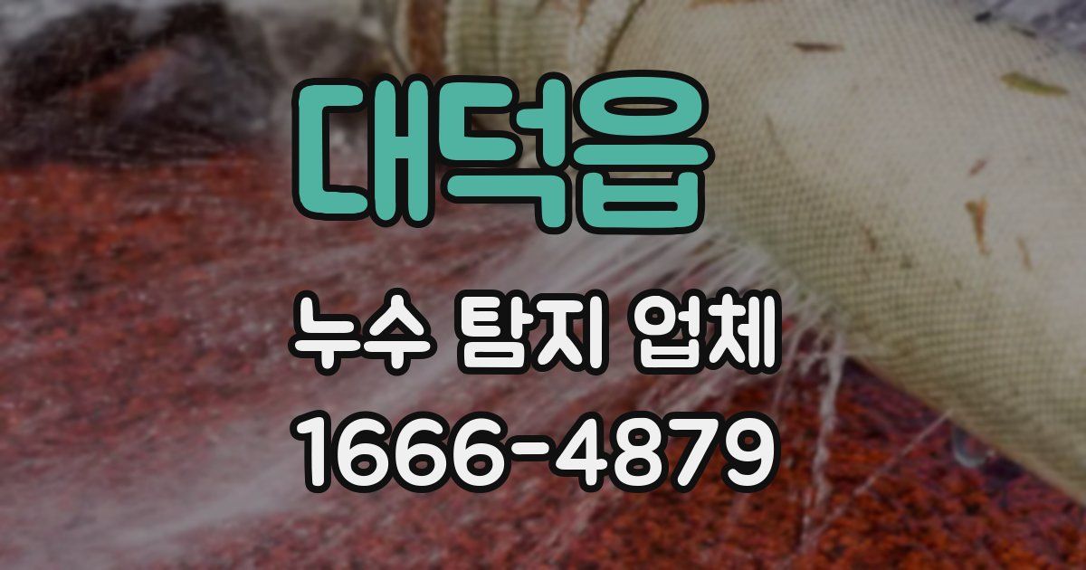 대덕읍 누수 탐지 업체