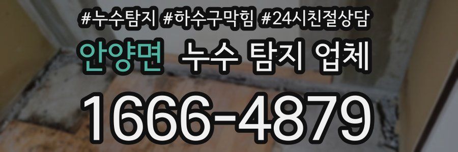 안양면 누수 탐지 업체