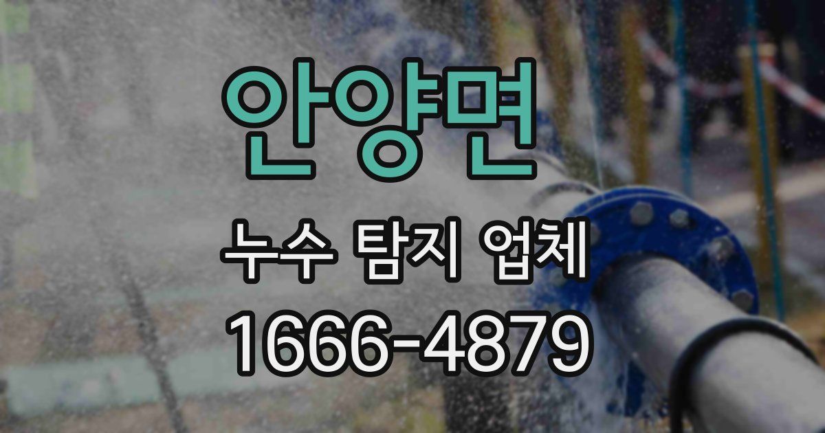 안양면 누수 탐지 업체
