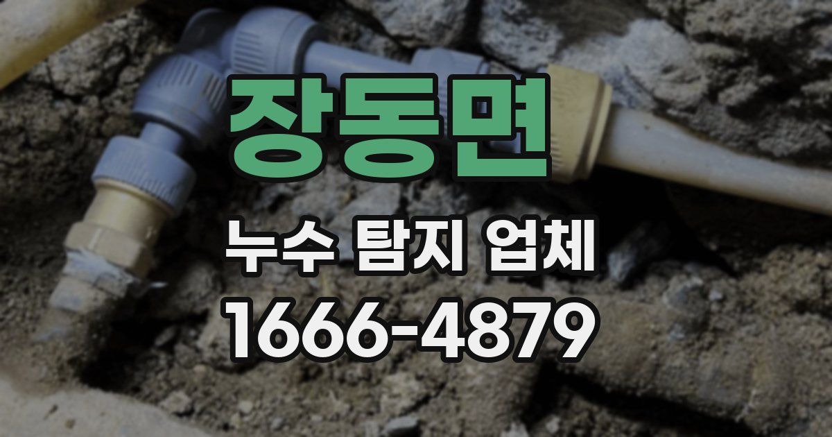 장동면 누수 탐지 업체