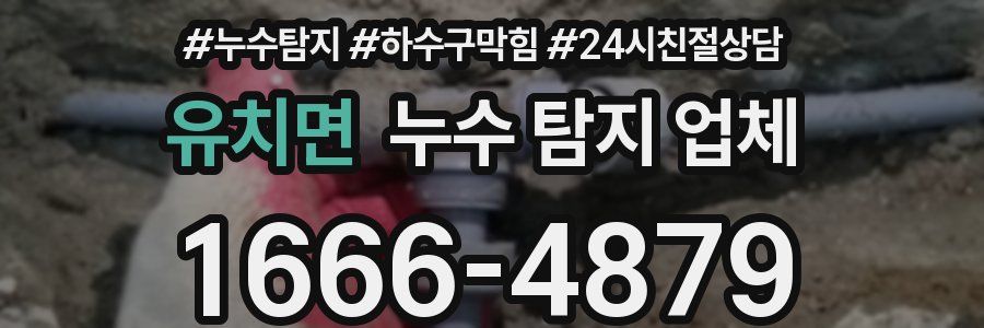 유치면 누수 탐지 업체