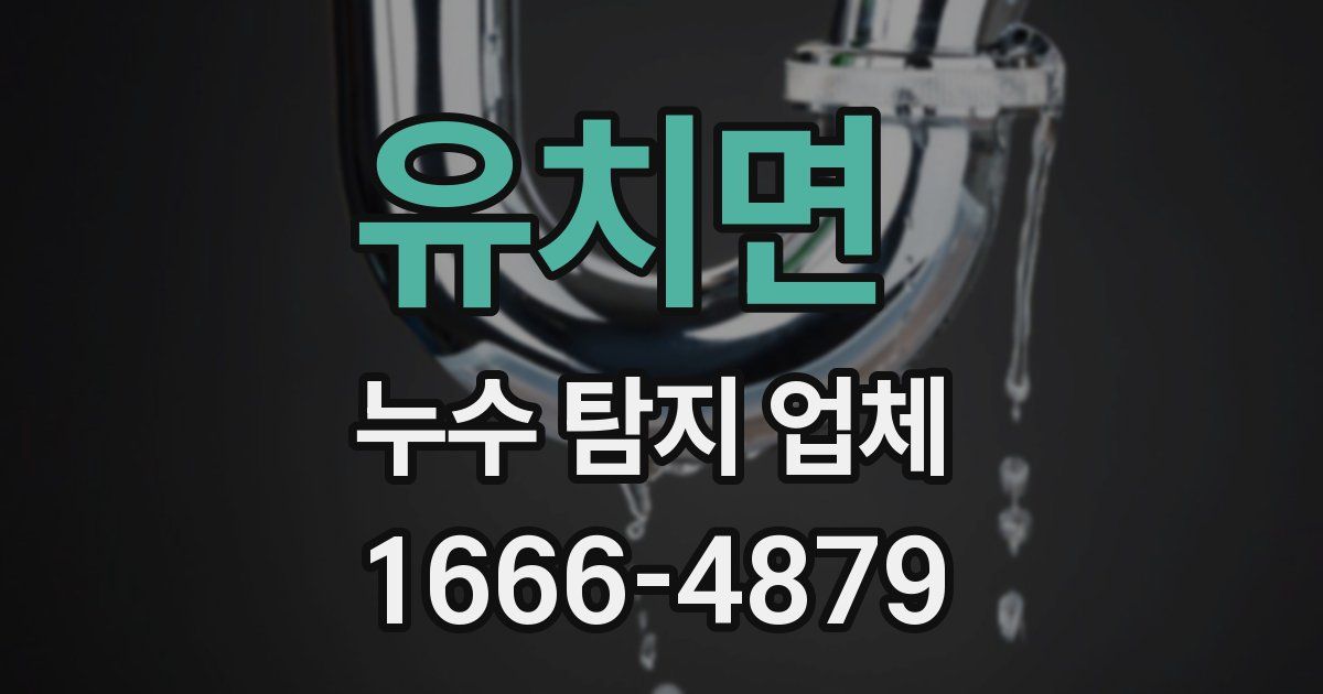 유치면 누수 탐지 업체