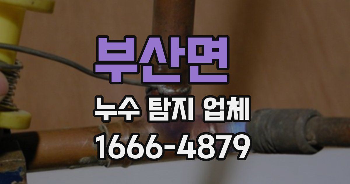 부산면 누수 탐지 업체