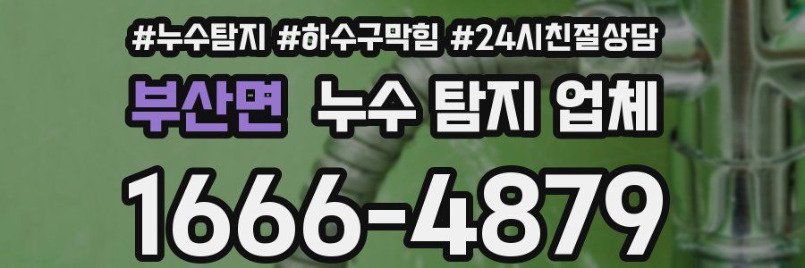 부산면 누수 탐지 업체