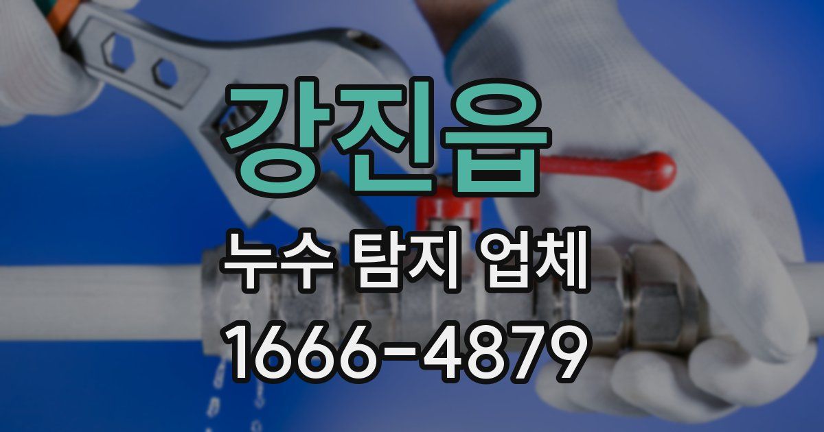 강진읍 누수 탐지 업체