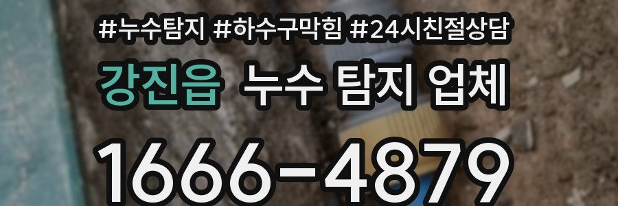 강진읍 누수 탐지 업체