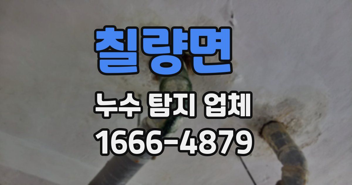 칠량면 누수 탐지 업체
