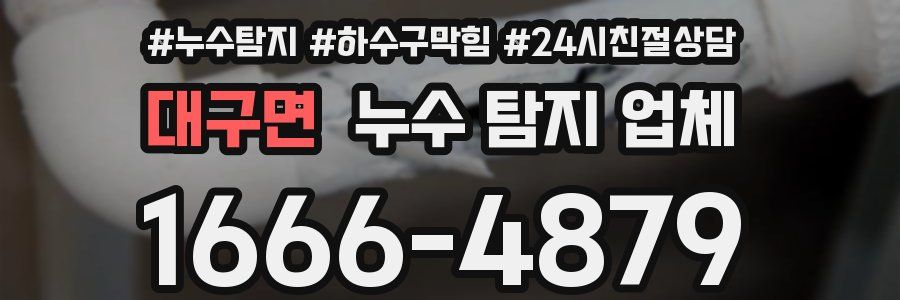 대구면 누수 탐지 업체