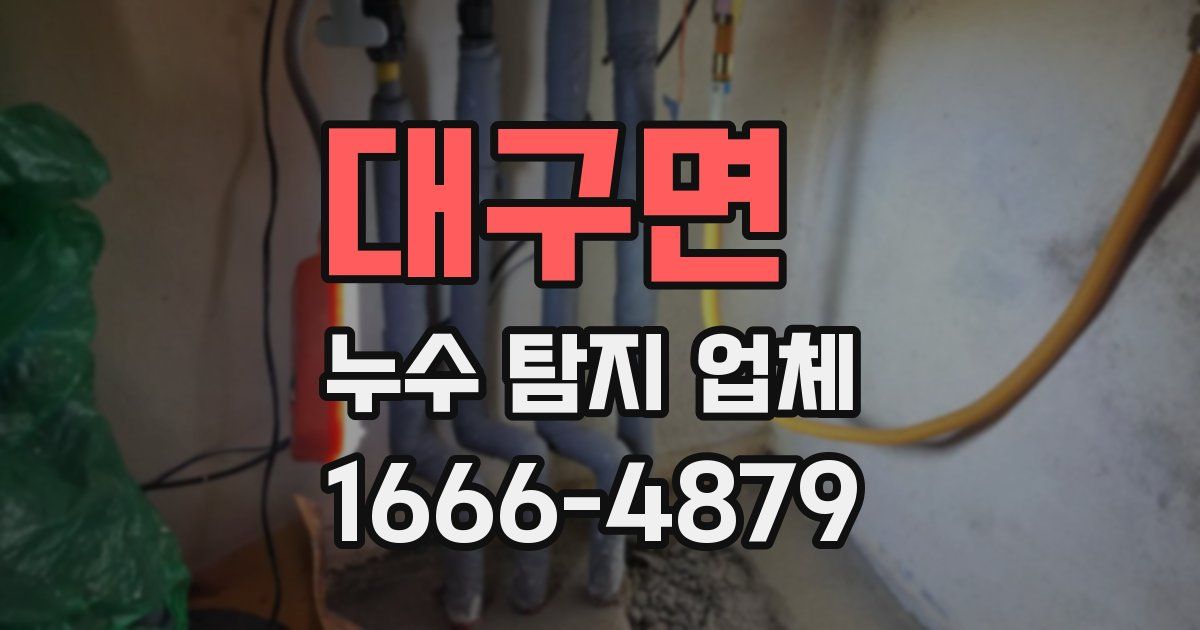 대구면 누수 탐지 업체